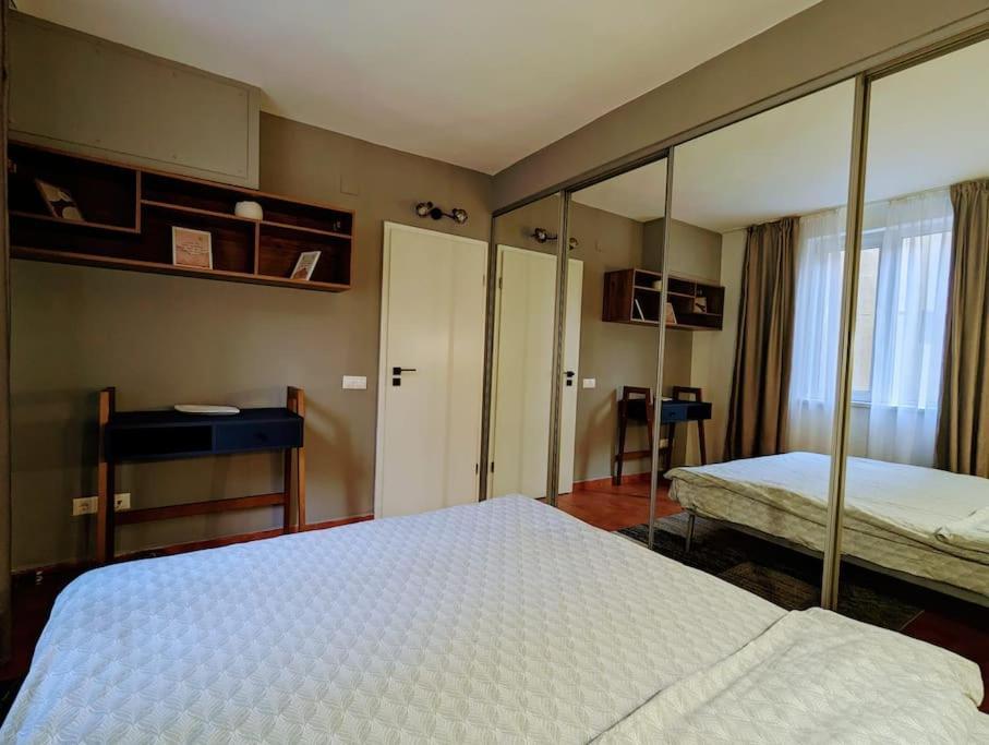 Apartment Peaceful Victory Square Timisoara