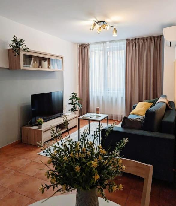 Apartment Peaceful Victory Square Timisoara